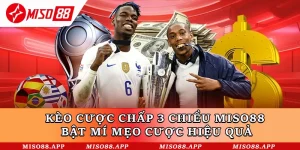 Kèo Cược Chấp 3 Chiều Miso88 - Bật Mí Mẹo Cược Hiệu Quả
