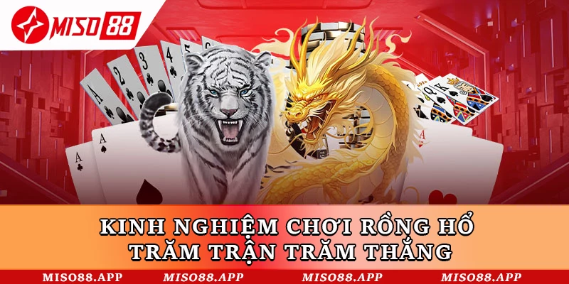 Kinh nghiệm chơi Rồng Hổ trăm trận trăm thắng